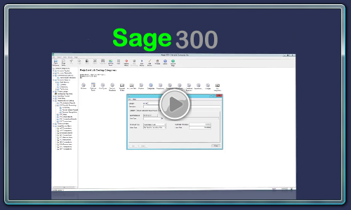 Multisoft-Sage300V1